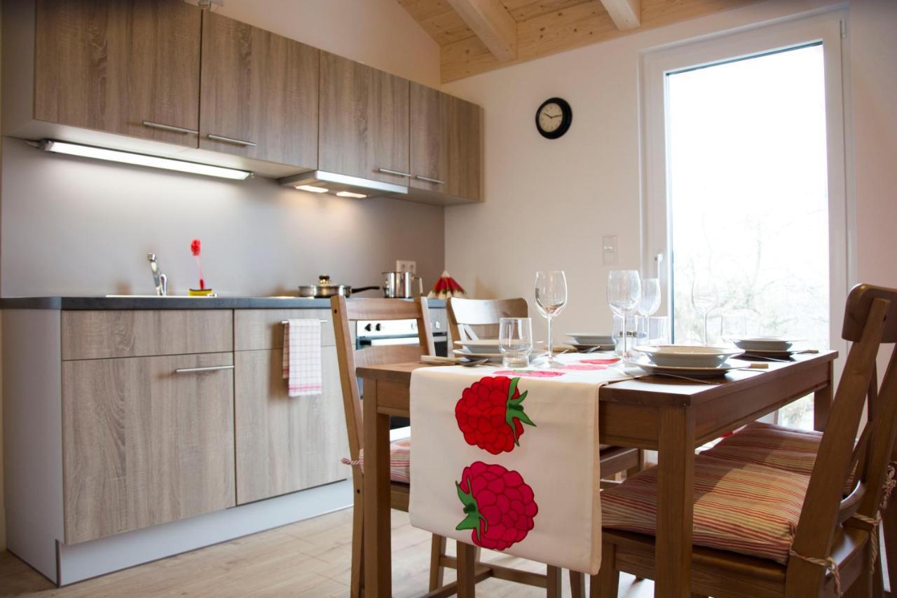 Appartment Vogel Ferienwohnungen Zirndorf Buitenkant foto