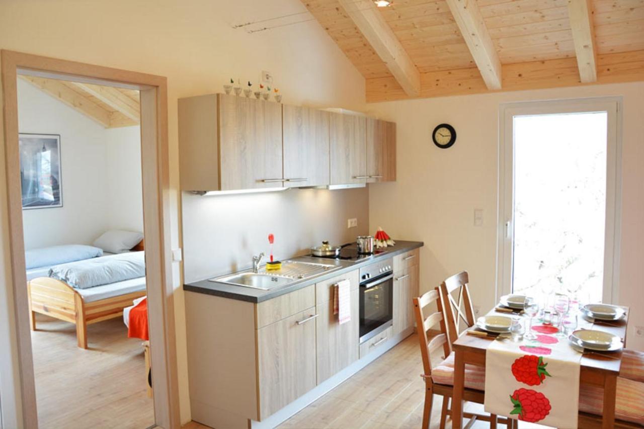 Appartment Vogel Ferienwohnungen Zirndorf Buitenkant foto